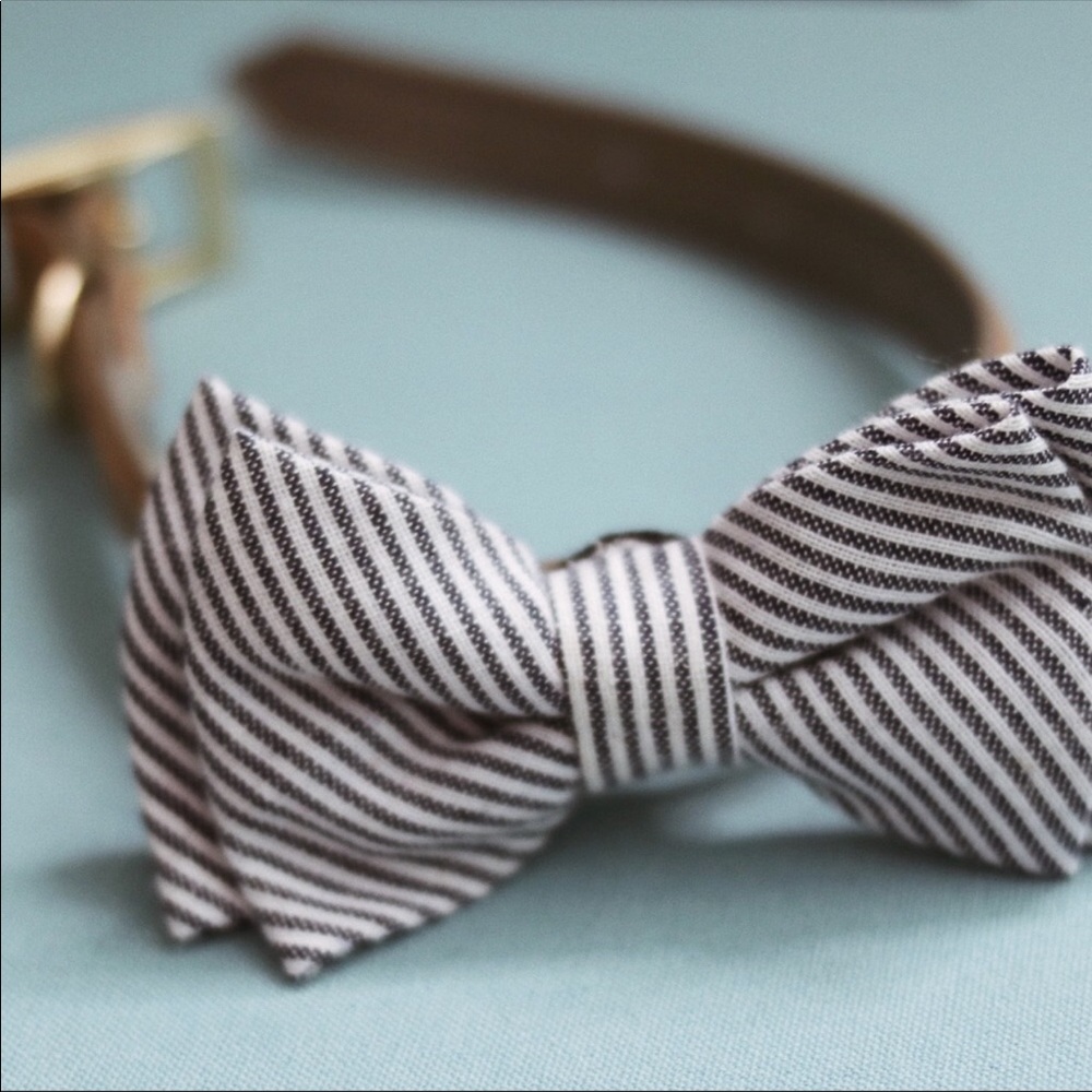 Brand New Leather Bow Dog Collar